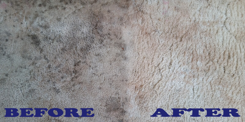 Carpet Steam Cleaning By Blenheim Carpet Care