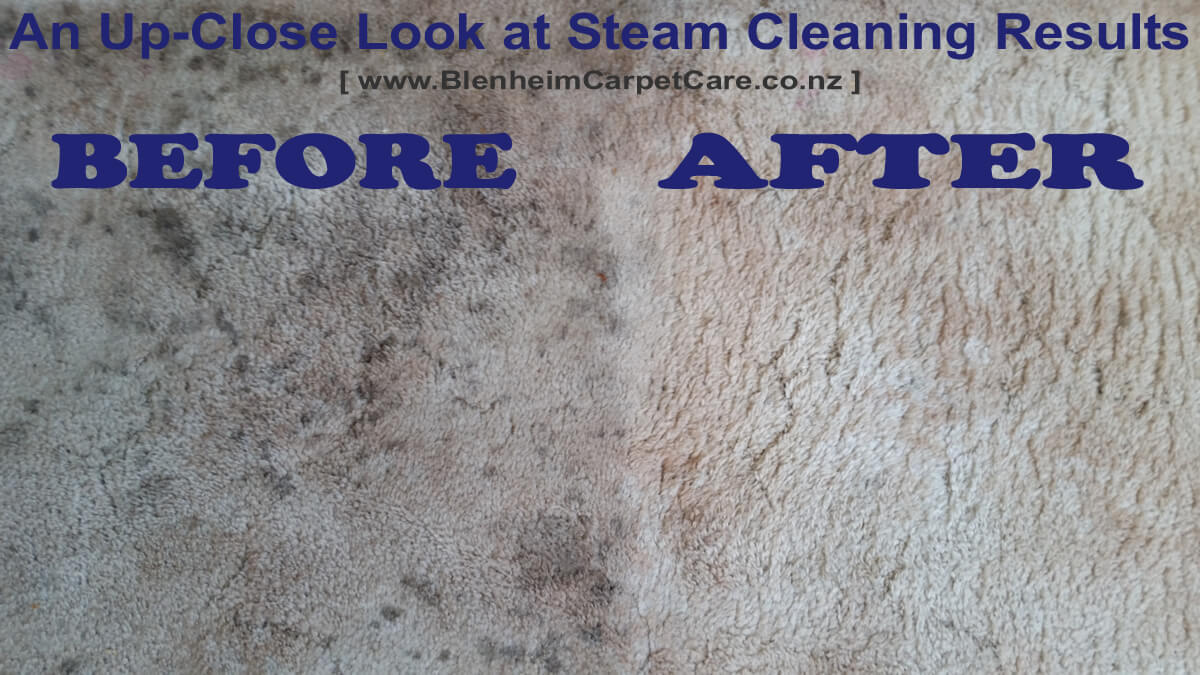 Steam Cleaning Before & After 2015-12-21 by Blenheim Carpet Care NZ