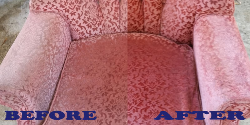 Upholstery Steam Cleaning By Blenheim Carpet Care