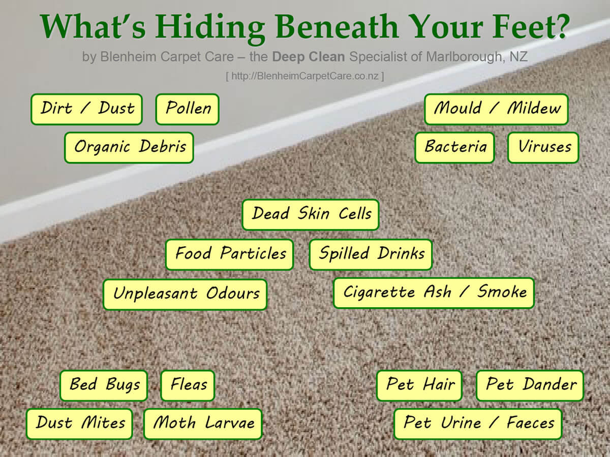 What's Hiding Beneath Your Feet?